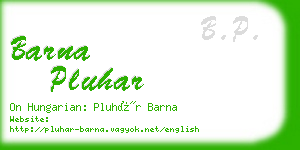 barna pluhar business card